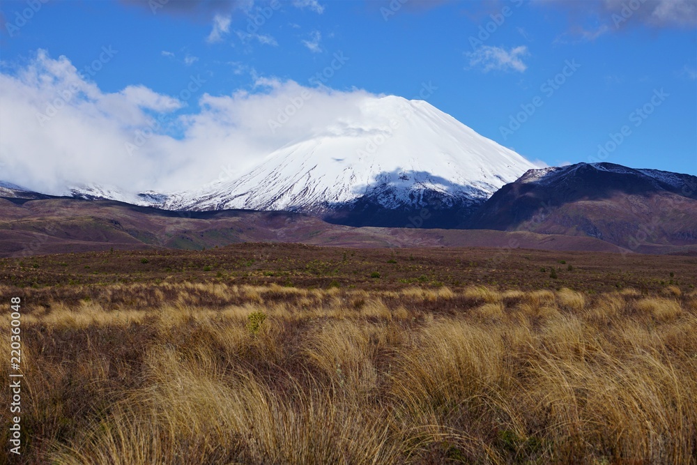 cloud and shadows around a snow capped mountain volcano, grasses in the foreground cloud and shadows around a snow capped mountain volcano, grasses in the foreground