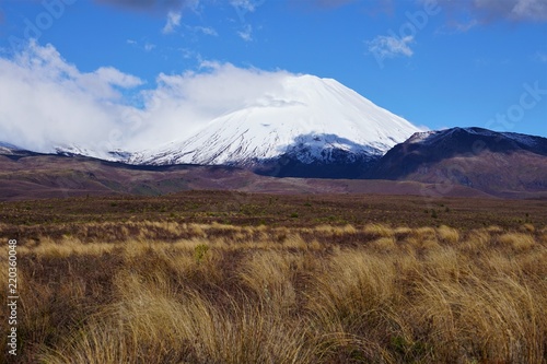 cloud and shadows around a snow capped mountain volcano, grasses in the foreground