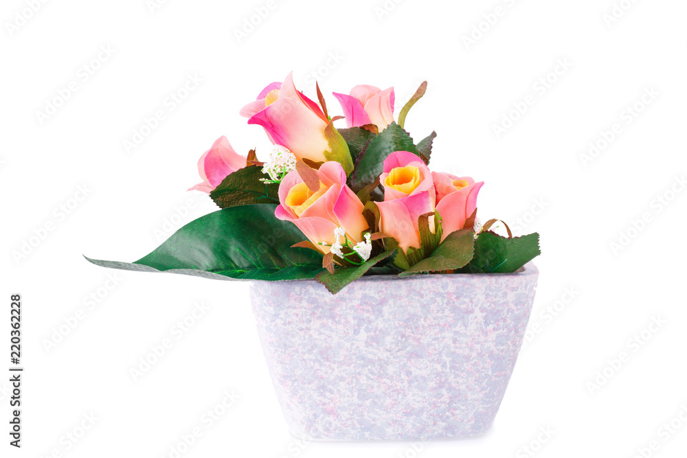 Roses in vase Roses in vase