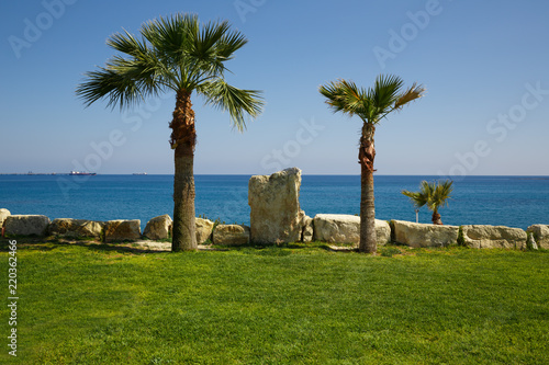 Landscape in Cyprus © RUZANNA ARUTYUNYAN