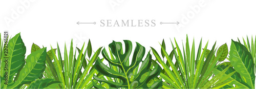 Tropical leaves seamless pattern border frame with space for text. Hand drawn sketch monstera, palm and fern floral decoration for fabric, textile or graphic design. Summer jungle vector background.