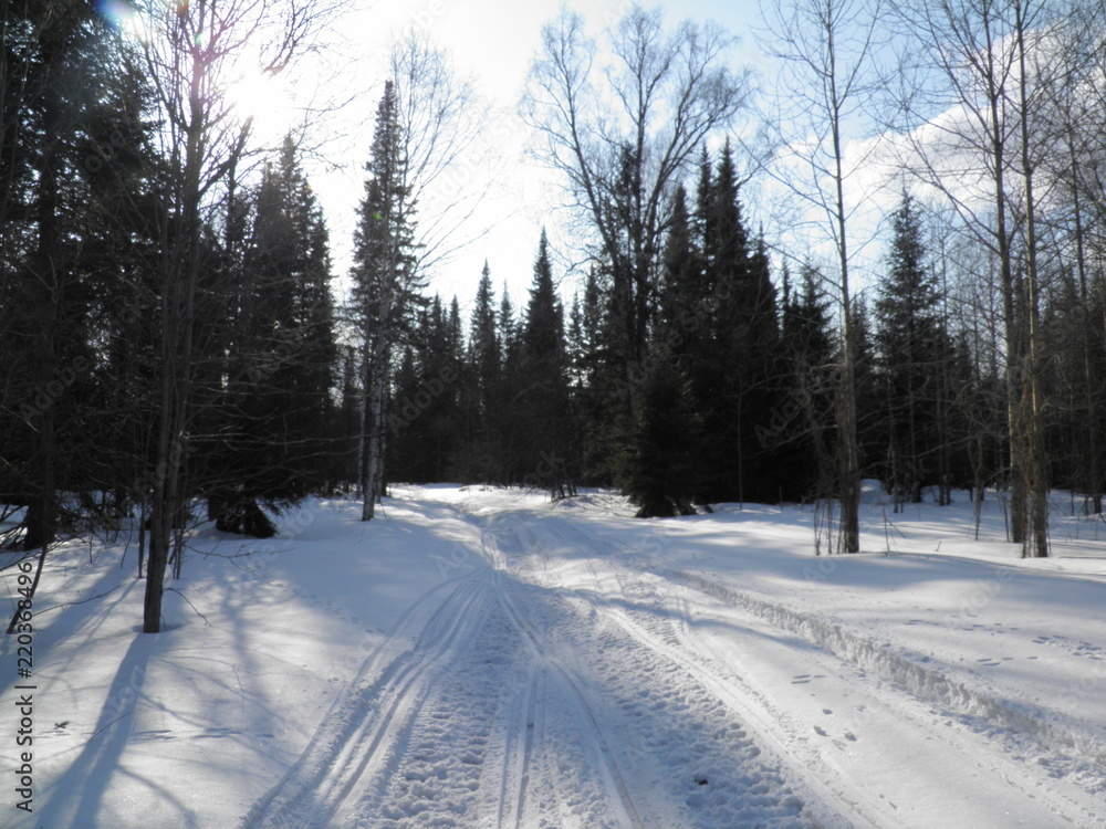 Obraz premium siberia winter landscape