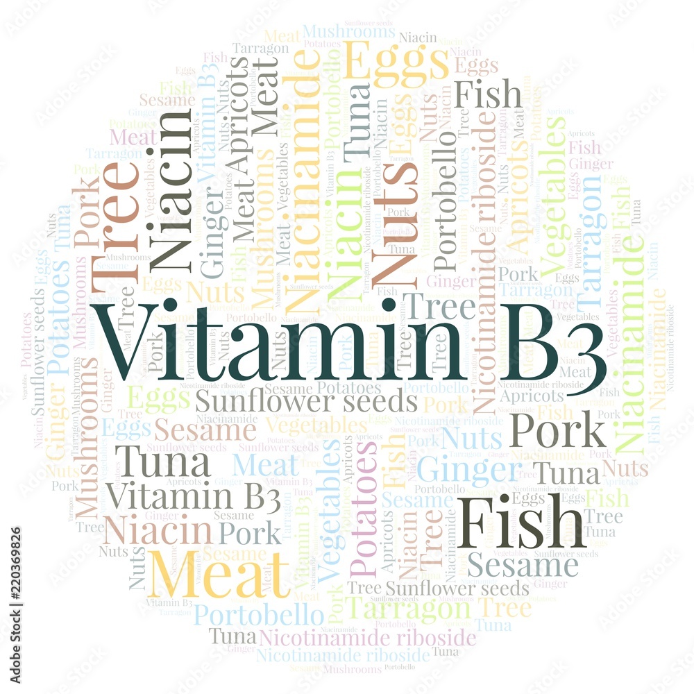 Fototapeta premium Vitamin B3 in a circle shape word cloud.