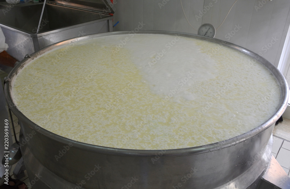 procedimento di preparazione della ricotta fresca in caseificio procedimento di preparazione della ricotta fresca in caseificio