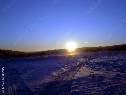 siberian taiga winter landscape