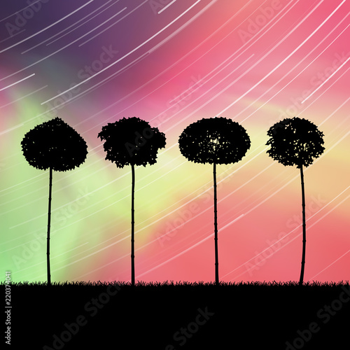 Landscape with trees at night. Vector illustration with isolated silhouettes of maples in grass. Rotation of stars. Northern lights in starry sky. Colorful aurora borealis