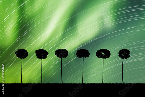 Landscape with trees at night. Vector illustration with isolated silhouettes of maples in grass. Rotation of stars. Northern lights in starry sky. Colorful aurora borealis