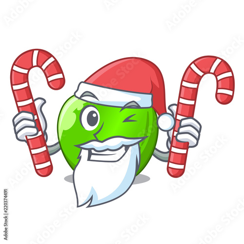Santa with candy green smith apple isolated on cartoon