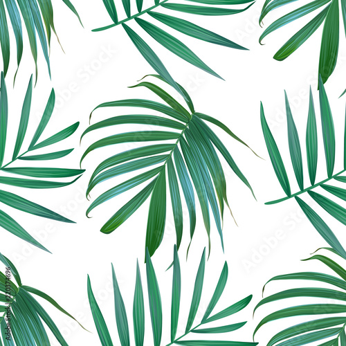 Fototapeta Naklejka Na Ścianę i Meble -  Vector palm frond. Tropical leaves seamless pattern.