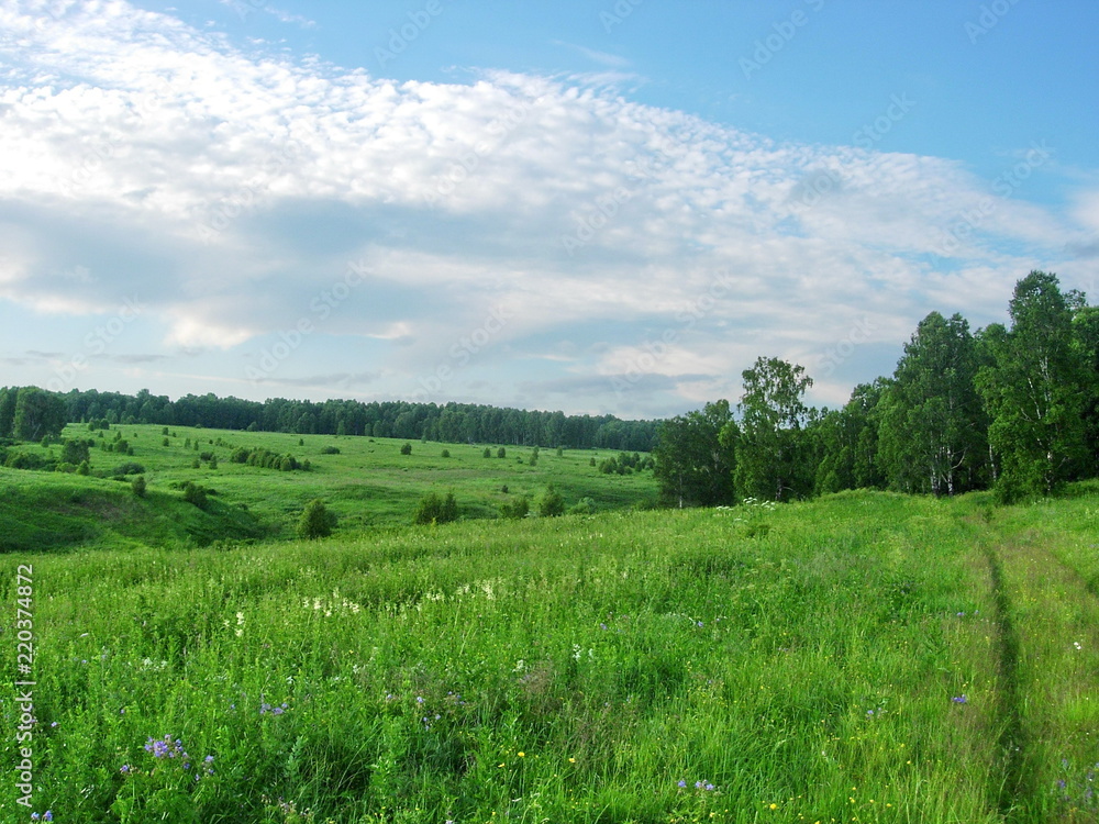 siberian landscapes