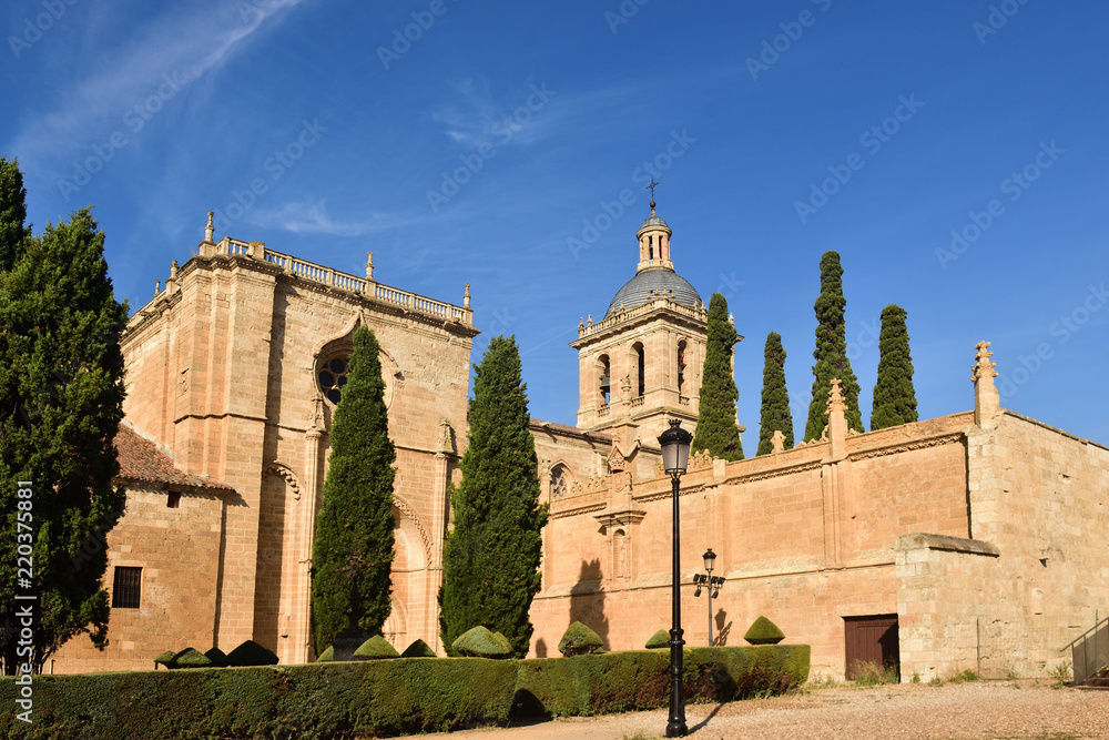  Santa Maria Cathedral, Ciudad Rodrigo, Salamanca province, Spain