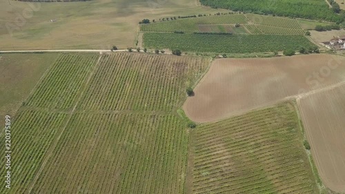 Aerial view of crop fields in Alenquer, Portgual. photo