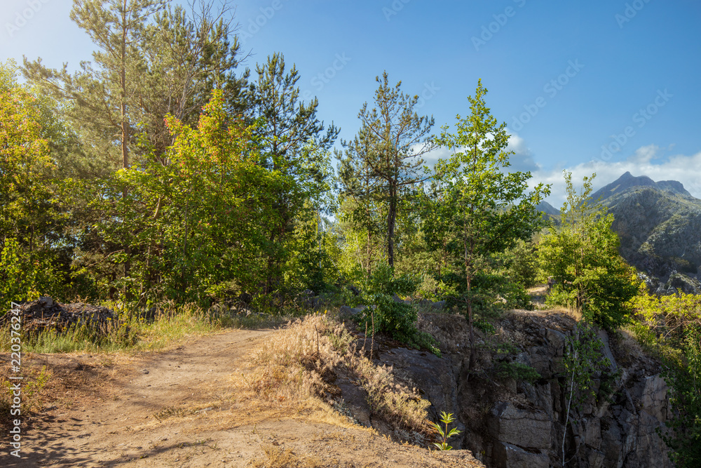 Beautiful forest mountain road. Dense fir forest with dust trail Beautiful forest mountain road. Dense fir forest with dust trail