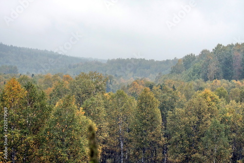 siberian autumn forest