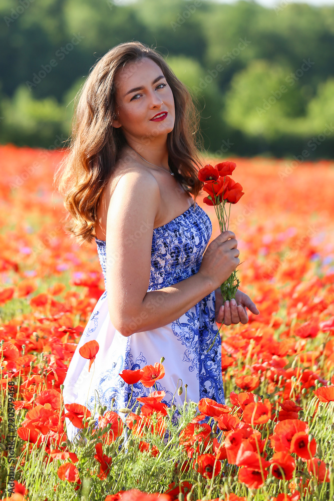 Portrait of a young girl .The girl in the poppy field. Portrait of a young girl .The girl in the poppy field.