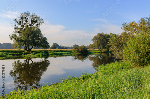Small river on the background of grass-covered banks against blue sky. River landscape on a summer morning