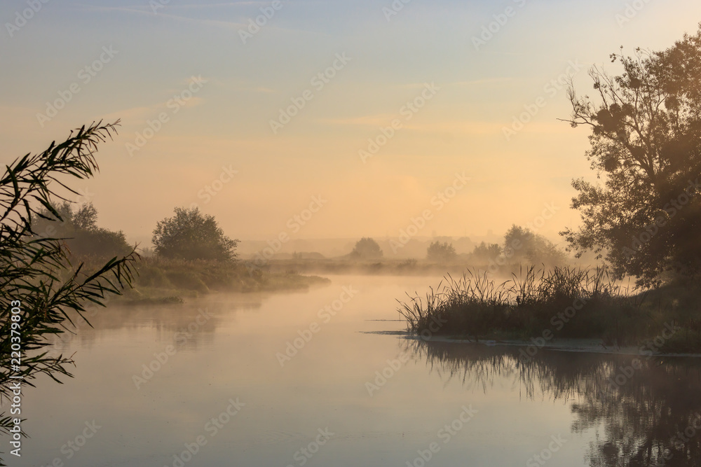 Fototapeta premium Orange dawn on the river in sunny summer morning. River landscape