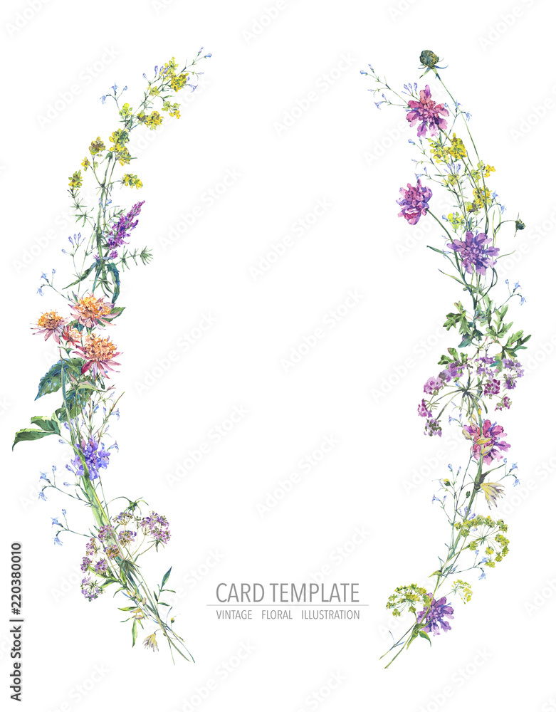 Watercolor summer wreath of wildflowers Botanical colorful illustration