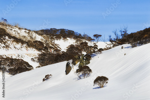 SM Perish Snow Slopes nature photo