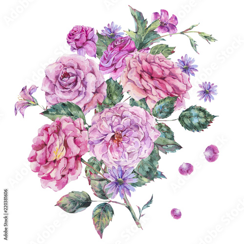 Decorative vintage watercolor pink roses Botanical colorful illustration