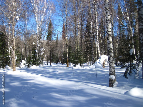 snowmobile in siberia