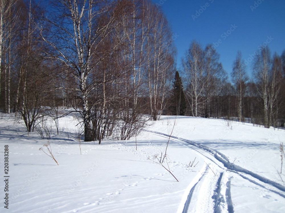 snowmobile in siberia snowmobile in siberia