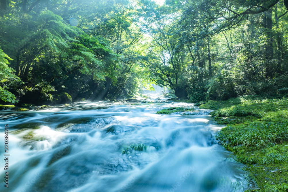 Obraz premium 菊池渓谷の光芒