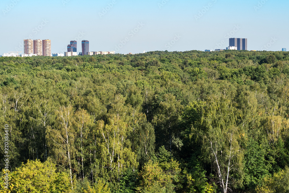 green forest and apartment buildings on horizon