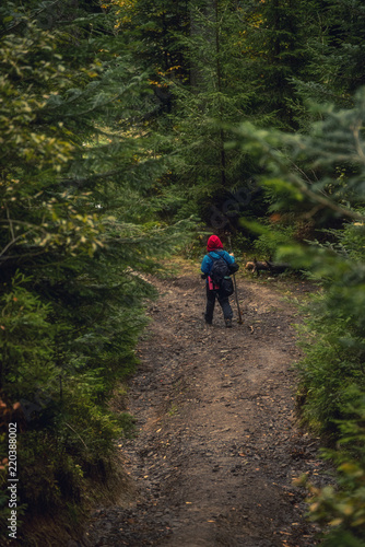A tourist walking along a forest path of a dark spruce forest. 