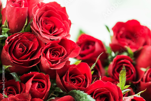 Red rose Flowers have a refreshing aroma
