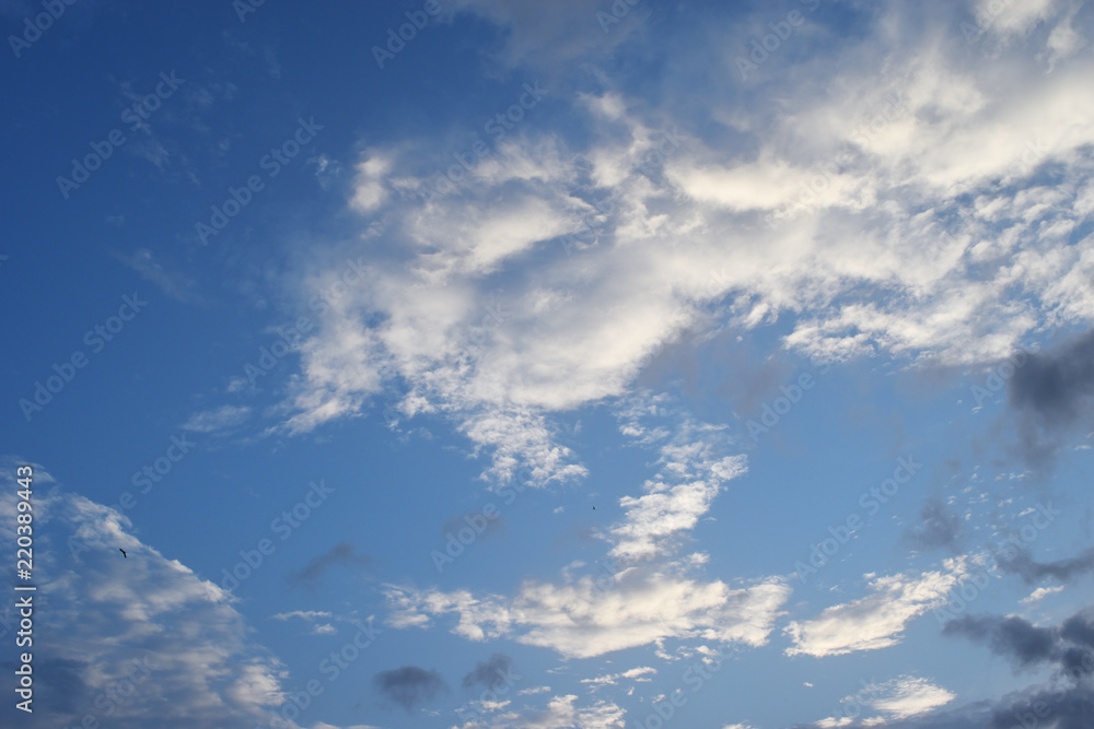 Cumulus cloud on beautiful blue sky , Fluffy clouds formations at tropical zone
Cumulus cloud on beautiful blue sky , Fluffy clouds formations at tropical zone