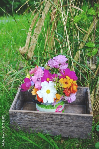 Grußkarte - Wildblumen Blum...