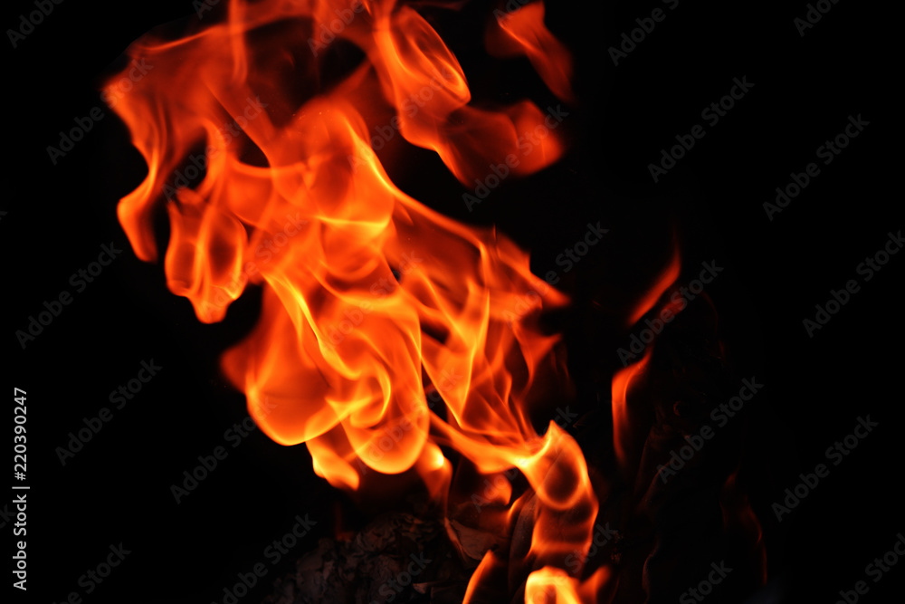 Flames erupted on black background, Incendiary fire in the immense darkness
Flames erupted on black background, Incendiary fire in the immense darkness