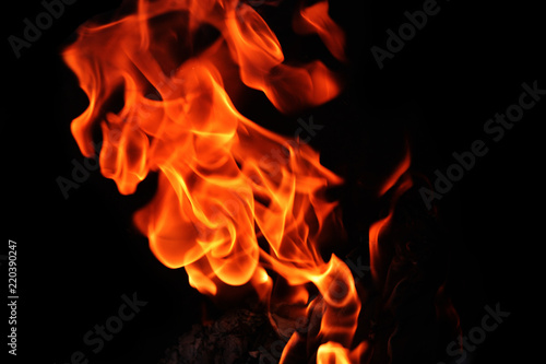 Flames erupted on black background, Incendiary fire in the immense darkness 
