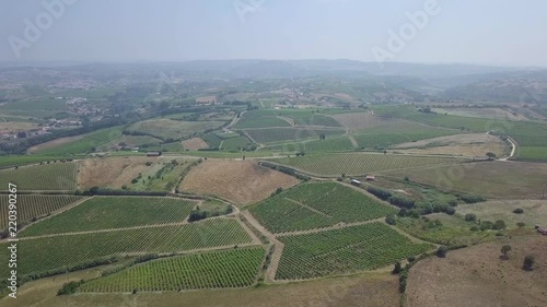 Crop fields in the country side in Alenquer, Portugal. photo
