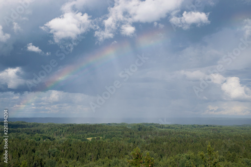 Forest and sky with rainbow in summer, view from Suur Munamagi, in Estonia.