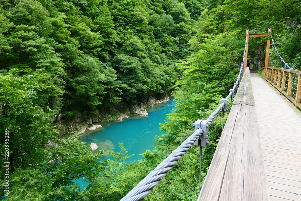 Obraz premium 抱返り渓谷と吊り橋。田沢 仙北 秋田 日本。7月中旬。