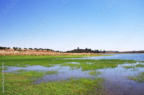 Fototapeta Naklejka Na Ścianę i Meble -  Alqueva lake near Amieira village, Portugal
