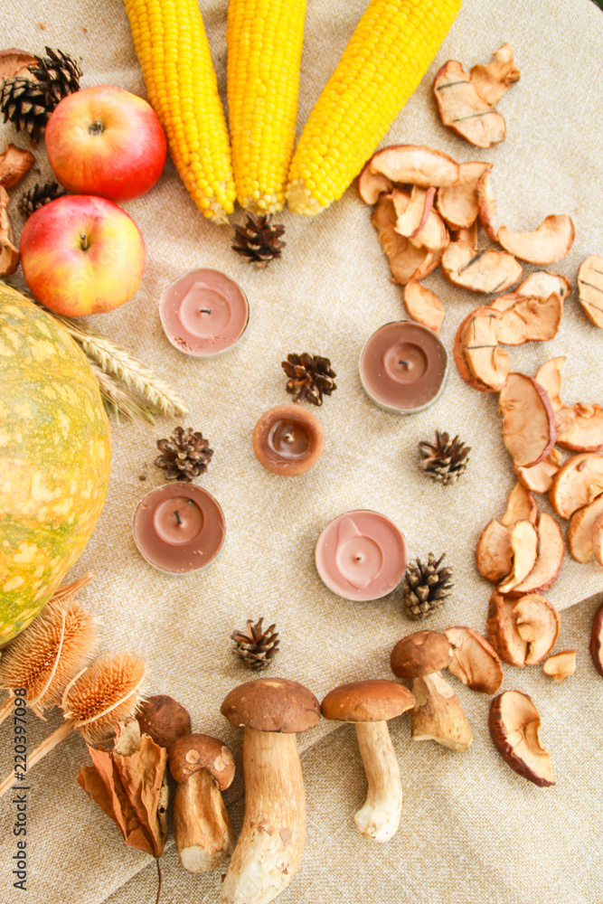 Thanksgiving fall composition: pumpkin, apples, mushrooms, corn, dried fruits Thanksgiving fall composition: pumpkin, apples, mushrooms, corn, dried fruits