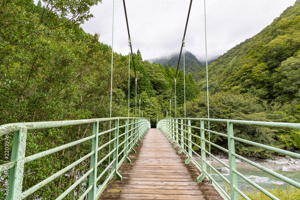登山道の橋