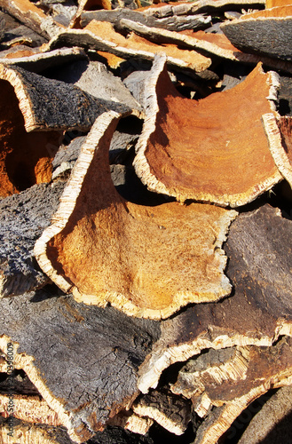 cork from cork oak trees in south of Portugal