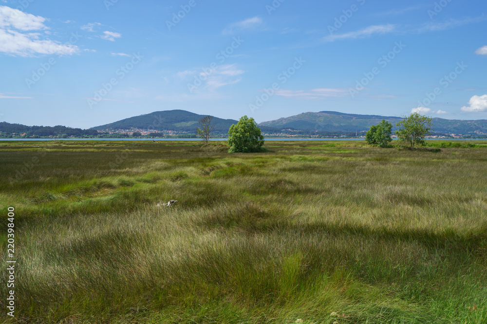 Fototapeta premium Wide green portuguese grassland