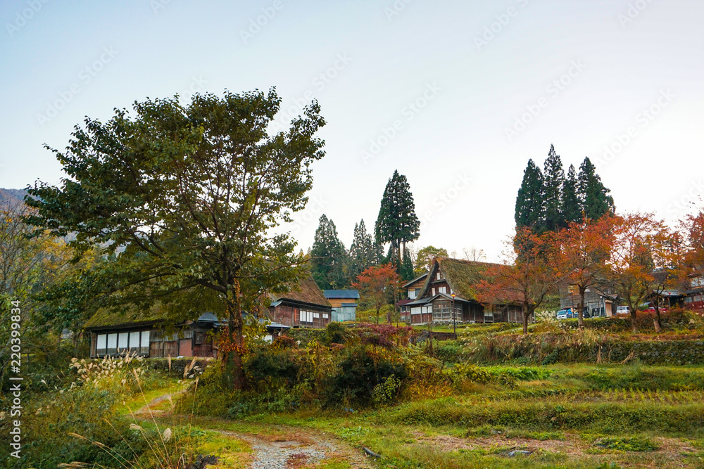 Autumn of Gokayama, a UNESCO World Heritage Site in Toyama, Japan. ユネスコ世界遺産五箇山の秋　日本富山県南砺市	相倉集落