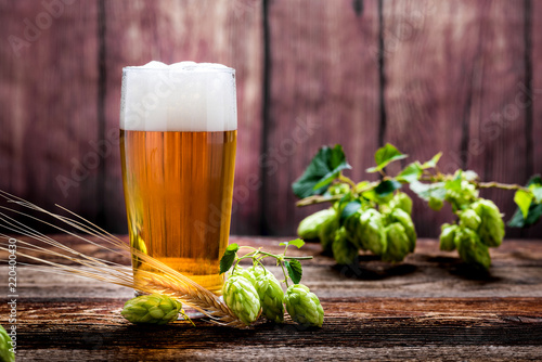 Bier - Alkohol - Spirituosen - Getränk - Hopfen - Gerste - Stutzen- Seidel - Kanne - Glas