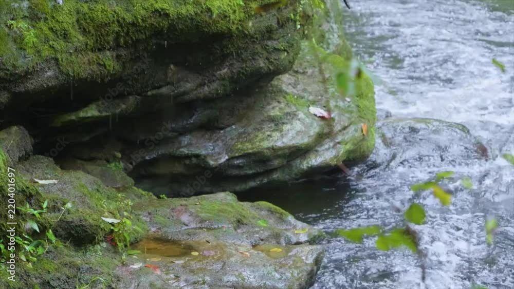 Boulder at a bend in the creek. Boulder at a bend in the creek.