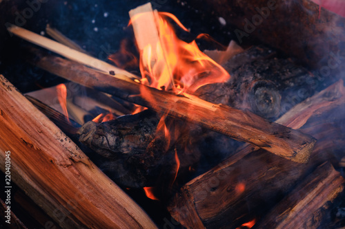 Fotografia, Obraz Pile of wood cut for fireplace