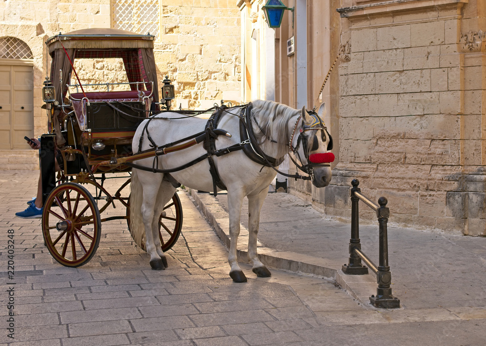 White horse and carriage in an old town