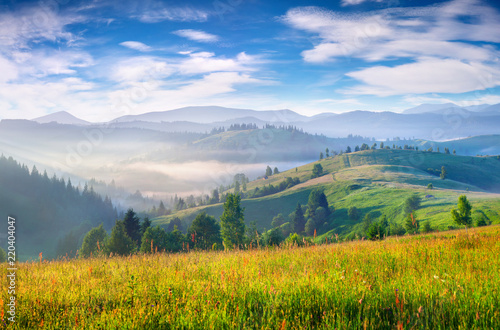 Magnificent summer scene in Carpathian mountains