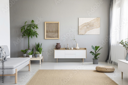 Posters on grey wall above white cupboard in living room interior with plants and sofa. Real photo