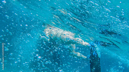 Girl swims near coral in red sea.